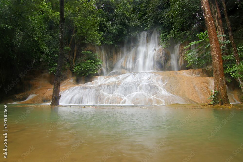 Obraz premium waterfall in green forest