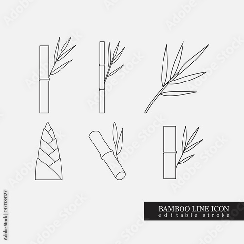 Vector illustration of thin simle line art bamboo with leaves icon or logo set or collection for asian cuisine, textile fibre, fabric or spa salon. Bamboo edible young shoots or sprouts emblem. photo