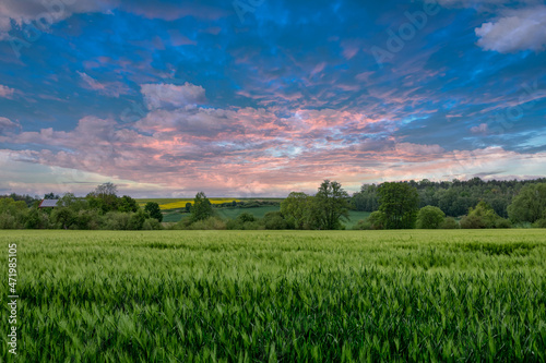 field and sky with clouds. Sunset sky. Nature landscape  in Europe.