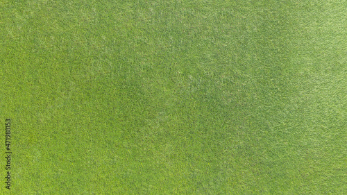 Green grass lawn texture background from top view for golf course turf with grassy pattern for environmental backdrop © Chinnapong