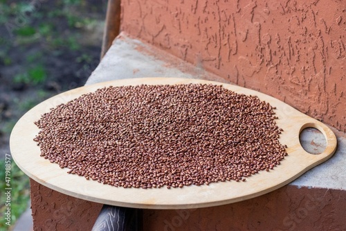Grape seeds are laid out on a baking sheet to dry. Preparing for cold pressing grape oil