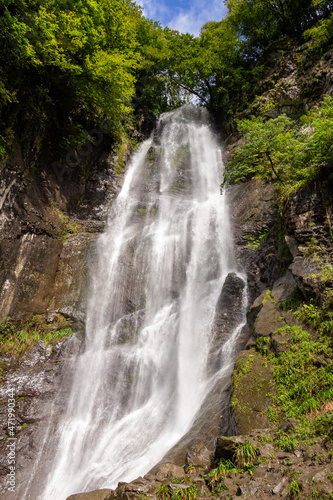 Fototapeta Naklejka Na Ścianę i Meble -  Makhuntseti waterfall, one of the highest waterfalls in Ajara. Point in a Acharistsqali river, where water flows over a vertical drop or a series of steep drops