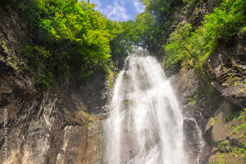 Makhuntseti waterfall, one of the highest waterfalls in Ajara. Point in a Acharistsqali river, where water flows over a vertical drop or a series of steep drops