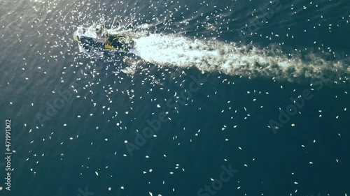 amazing drone shot of fisherman boat with seagulls, seagulls following boat for cathing fish on fishing net photo