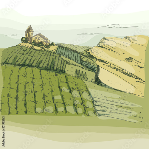 Rural landscape with villa and vineyard fields. Vintage color hatching