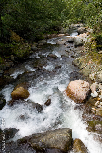 Fast flow of mountain river in summer.
