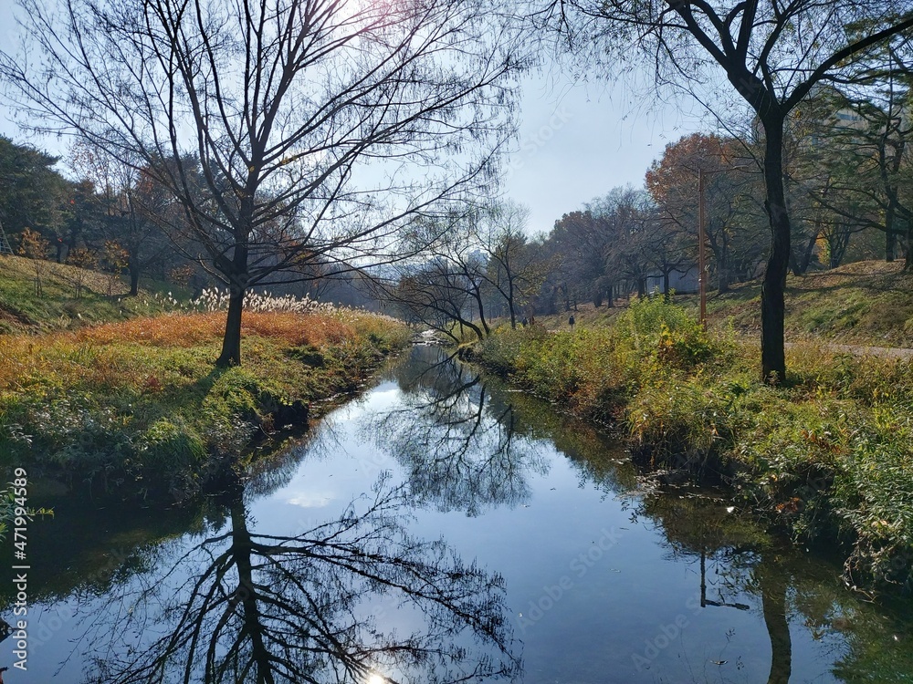 autumn trees reflected in water