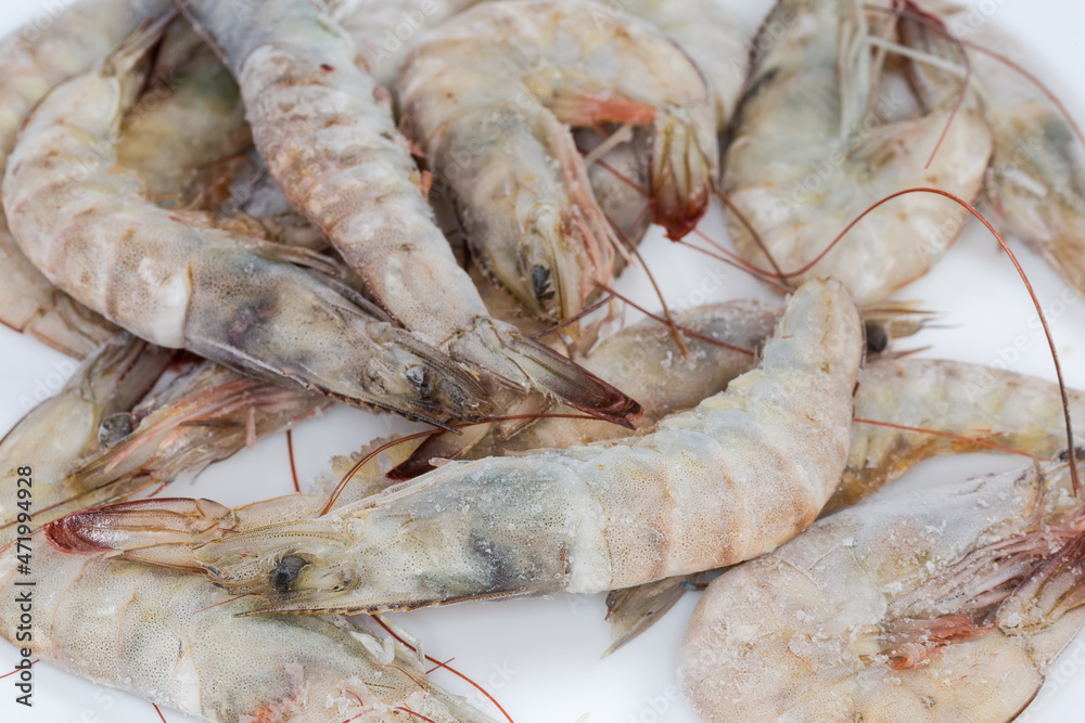 Frozen king prawns close-up in selective focus Frozen king prawns close-up in selective focus