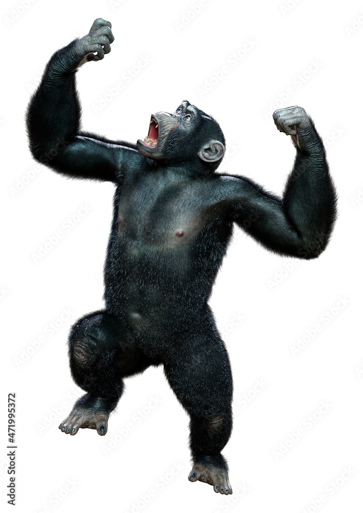 3D Rendering Chimpanzee on White