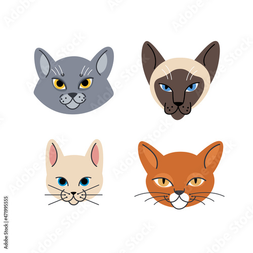 Cartoon illustration of cat head. Different type of cats. Vector illustration for prints, clothing, packaging, stickers. © Lili Kudrili