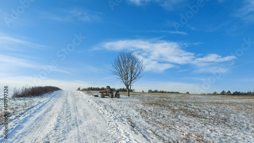 winter landscape with snow