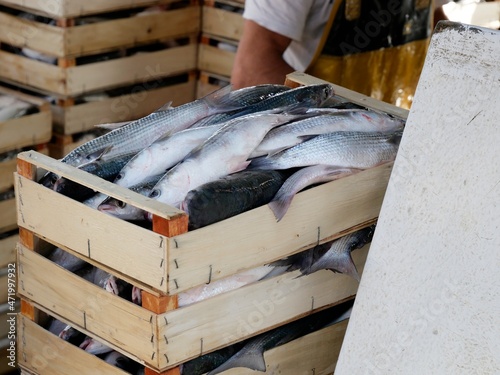 Frischer Fisch am Fischmarkt in Holzkisten