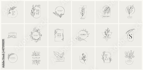 Set of inimal feminine botanical floral branch and logo. Hand drawn wedding herb, homeplant with elegant leaves. Botanical rustic trendy greenery vector