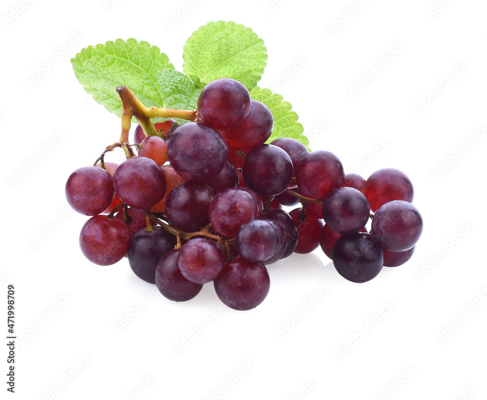 Grapes. Red grape. Grape branch isolated on white. With clipping path. Full depth of field. Grapes. Red grape. Grape branch isolated on white. With clipping path. Full depth of field.