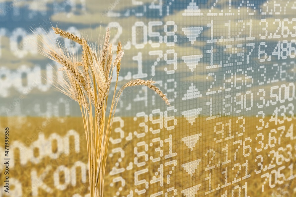 Diagram of rising food prices. Increase in the price of wheat seeds ...
