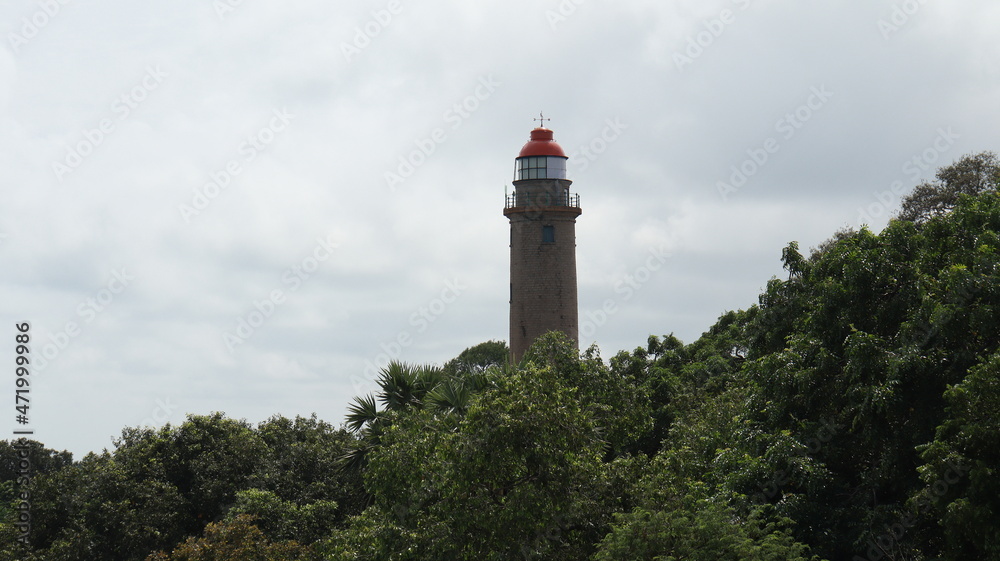 The lighthouse and the sky in the middle of the trees that look like green mosaic The lighthouse and the sky in the middle of the trees that look like green mosaic