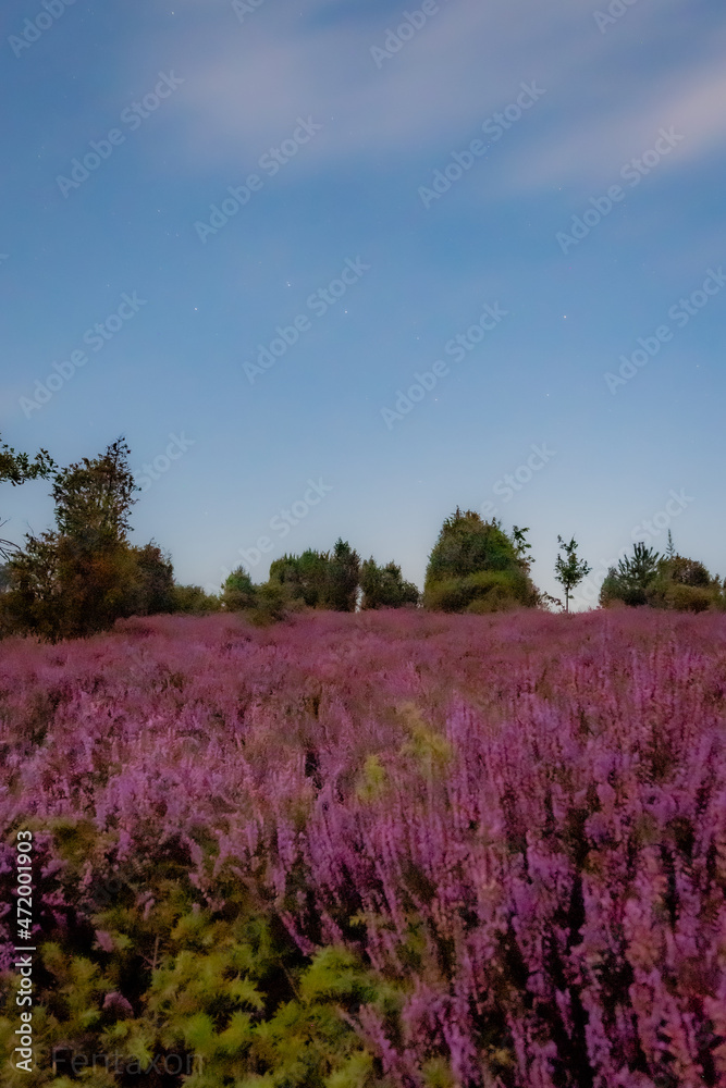 Copyright by Felix Wendlandt Copyright by Felix Wendlandt