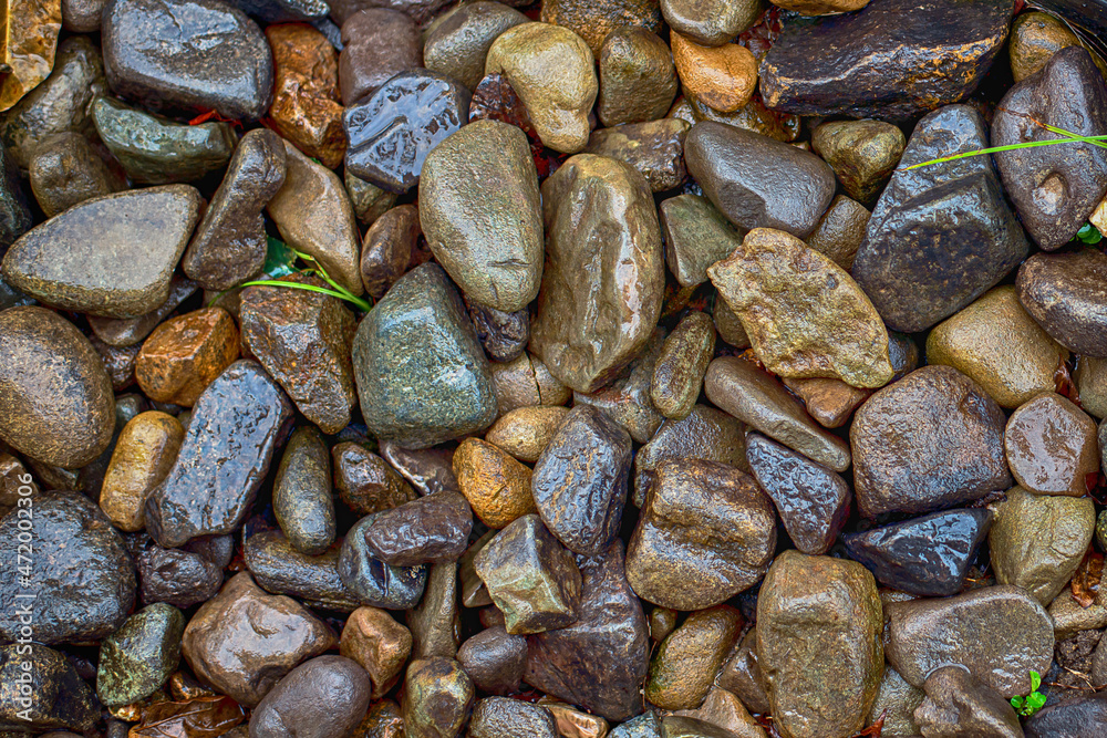 Beach Stones Fossils Nature Thailand Beach Stones Fossils Nature Thailand