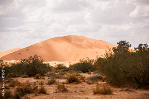 Dry landscape and dunes in the Sahara desert, Morocco