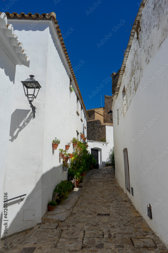 Fototapeta premium bonita calle del municipio de castellar de la frontera en la provincia de Cádiz, Andalucía