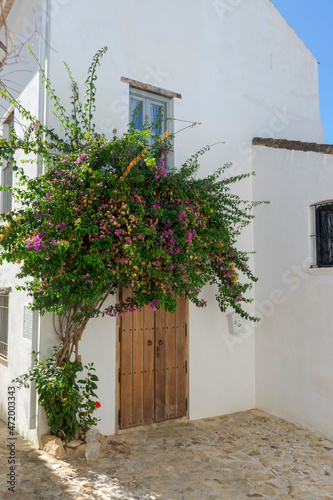 Fototapeta Naklejka Na Ścianę i Meble -  bonita calle del municipio de castellar de la frontera en la provincia de Cádiz, Andalucía