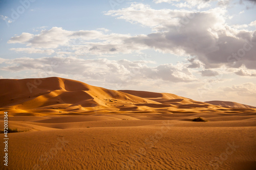 Fototapeta Naklejka Na Ścianę i Meble -  Dry landscape and dunes in the Sahara desert, Morocco