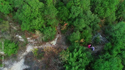 People walking inside the green forest. Hiking adventures