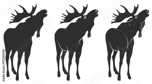 A set of drawings of moose for your design. Vector illustration, isolated object 