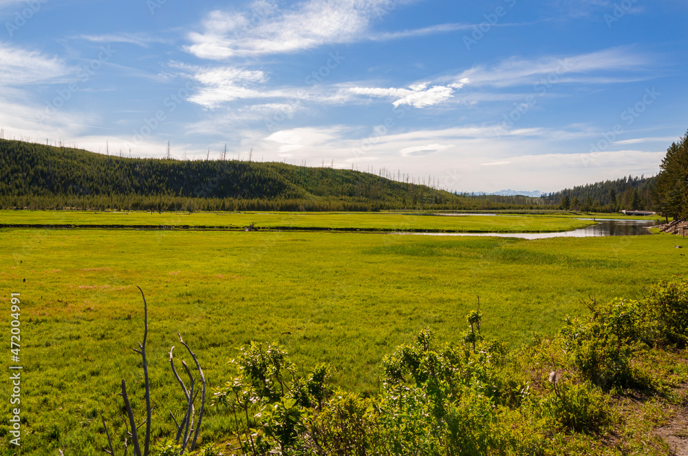 Obraz premium trees, river, Geyser and hot spring in old faithful basin in Yellowstone National Park in Wyoming