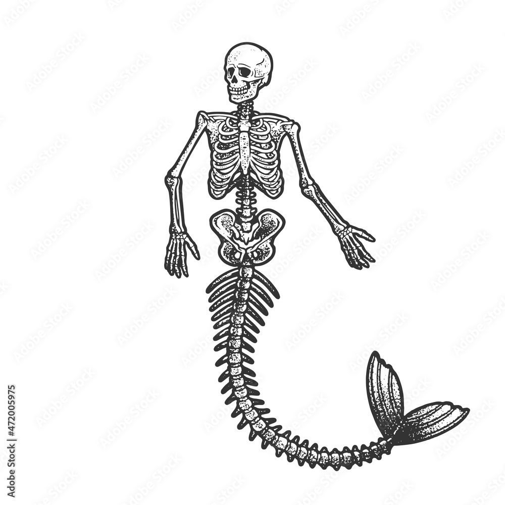 mermaid skeleton sketch engraving vector illustration. T-shirt apparel print design. Scratch board imitation. Black and white hand drawn image.