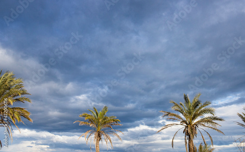 Cielo con nubes y palmeras