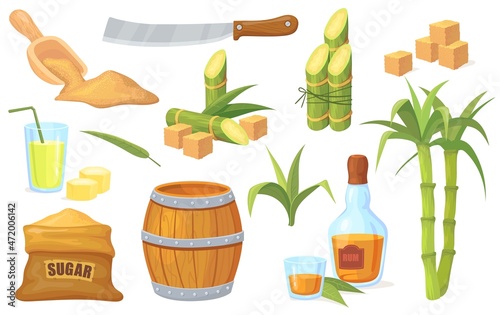 Cane sugar stem. Sugarcane plants, agriculture Natural organic product, bamboo leaf plant, fresh sweet juice, glass and bottle rum, raw brown cubes, cartoon vector neat flat icon