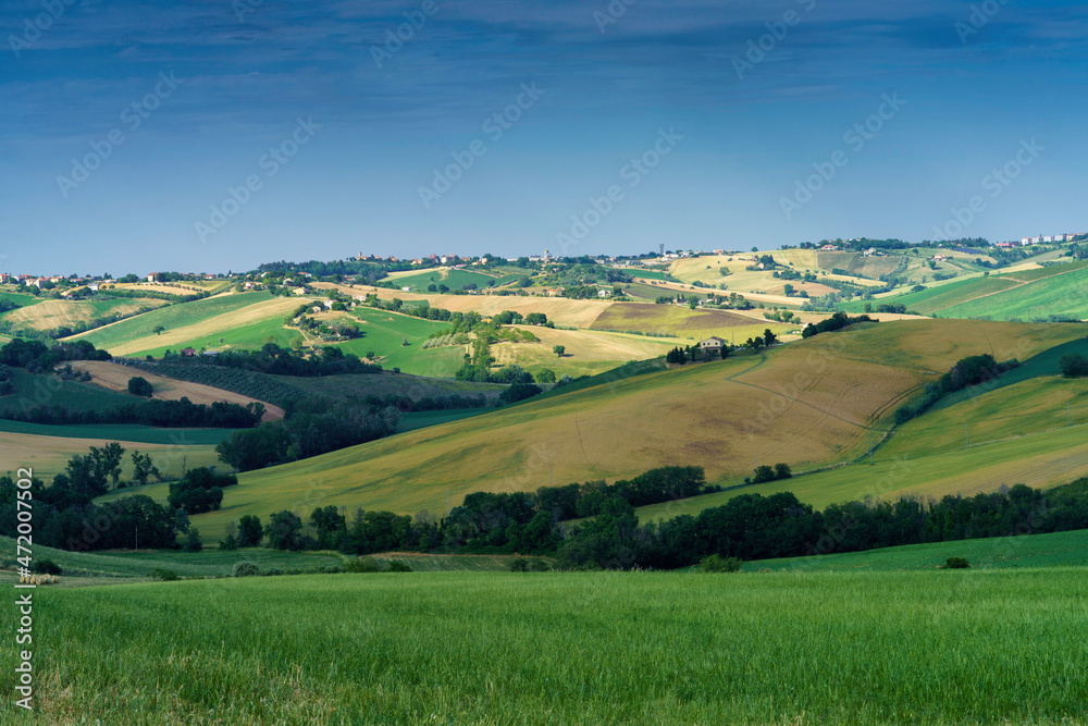 Rural landscape near Ostra Vetere and Cingoli, Marche, Italy