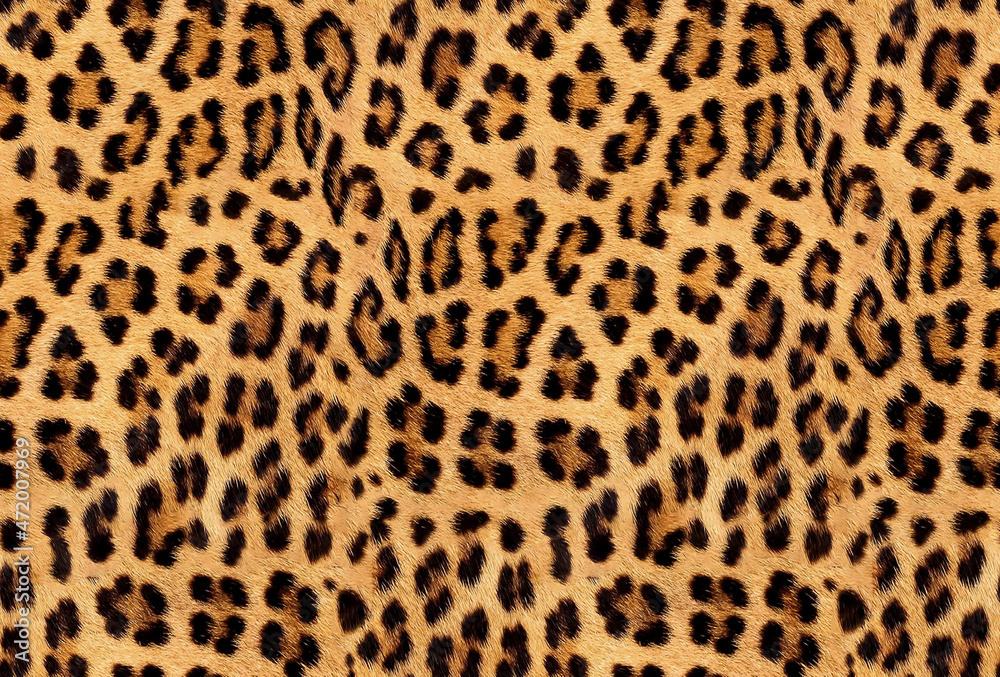 Seamless leopard fur, jaguar texture, animal print, African animal ...
