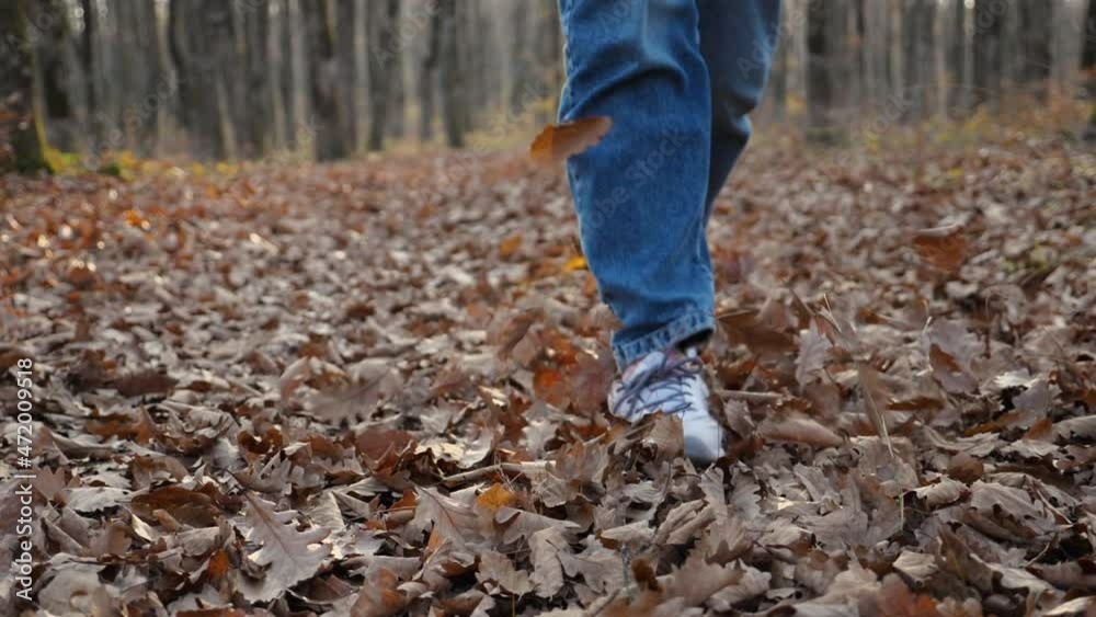 Women's feet in white sneakers and blue jeans walking on leaves in the autumn forest. Slow motion footage of women's feet scattering fallen leaves. Close-up. Movement on camera Women's feet in white sneakers and blue jeans walking on leaves in the autumn forest. Slow motion footage of women's feet scattering fallen leaves. Close-up. Movement on camera