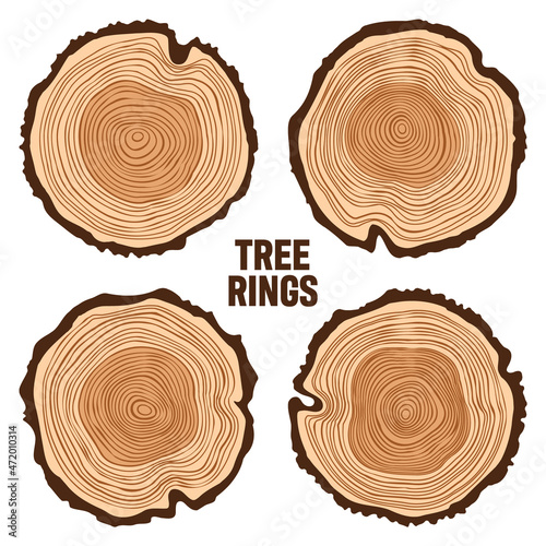 Round tree trunk cuts, sawn pine or oak slices, lumber. Saw cut timber, wood. Brown wooden texture with tree rings. Hand drawn sketch. Vector illustration
