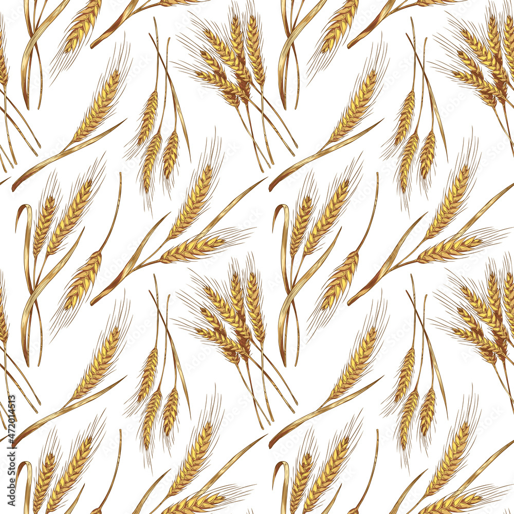 Endless seamless pattern design with wheat cereals plants, vector illustration.
