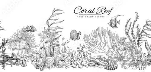 Fototapeta Naklejka Na Ścianę i Meble -  Seamless hand drawn coral reef banner in engraved sketch style - vector illustration.