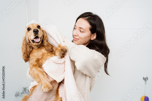 Cocker spaniel tacking a bath with his human in the bath tub. Woman using a towel to comfort her pet photo