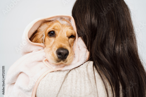 Cocker spaniel tacking a bath with his human in the bath tub. Woman using a towel to comfort her pet photo