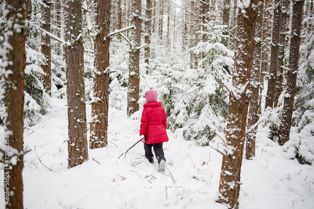 winter snow-covered forest. man child girl goes for walk. beautiful natural landscape with bright color accent