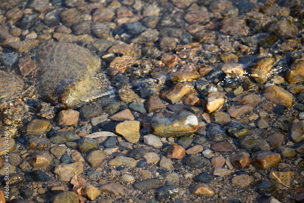 Obraz premium stones on the beach