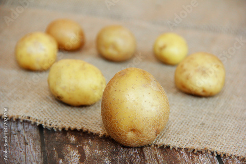 round fruits of fresh yellow potatoes