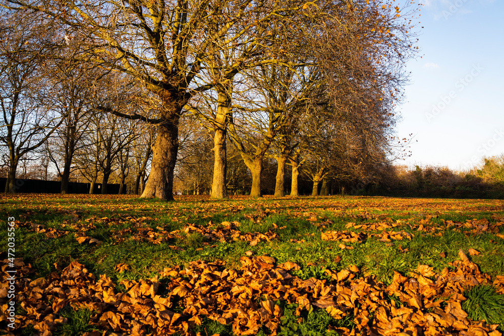 Autumn in Crystal Palace Park, London, England, UK