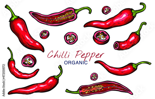 Vector sketch illustration of chili pepper set drawing isolated on white. Whole and cut slices. Engraved style.  natural business. Vintage, retro object for menu, label, recipe, product packaging