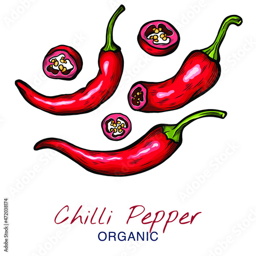 Vector sketch illustration of chili pepper set drawing isolated on white. Whole and cut slices. Engraved style.  natural business. Vintage, retro object for menu, label, recipe, product packaging