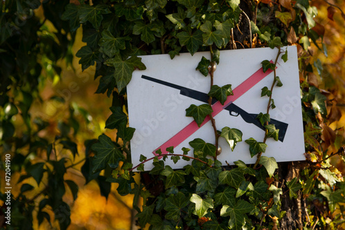 Señal de prohibición de caza (ilustración de una escopeta tachada) en el tronco de un pino en un bosque con colores de otoño photo
