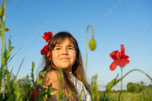 A girl in a white dress in her arms holds a bouquet of red poppies and green spike-lets of wheat, in a field of flowers with poppies and white flowers at sunset