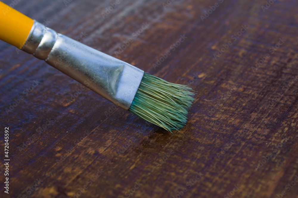 Brush used for artistic painting