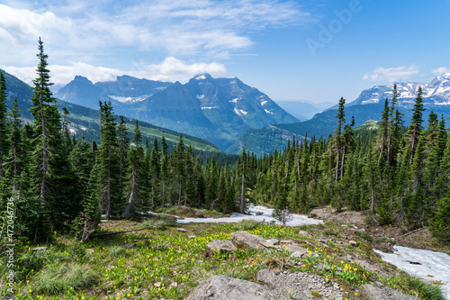 Wildflowers at Haystack Pass while hiking the Highline Tail in Glacier National Park in Montana on a sunny summer day, with mountains, Lake McDonald, Glacier Wall, and Mount Cannon in the background photo